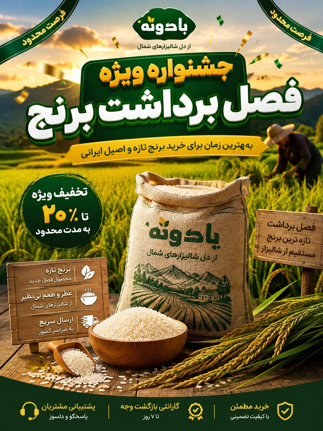 جشنواره برداشت برنج شمال بادونه