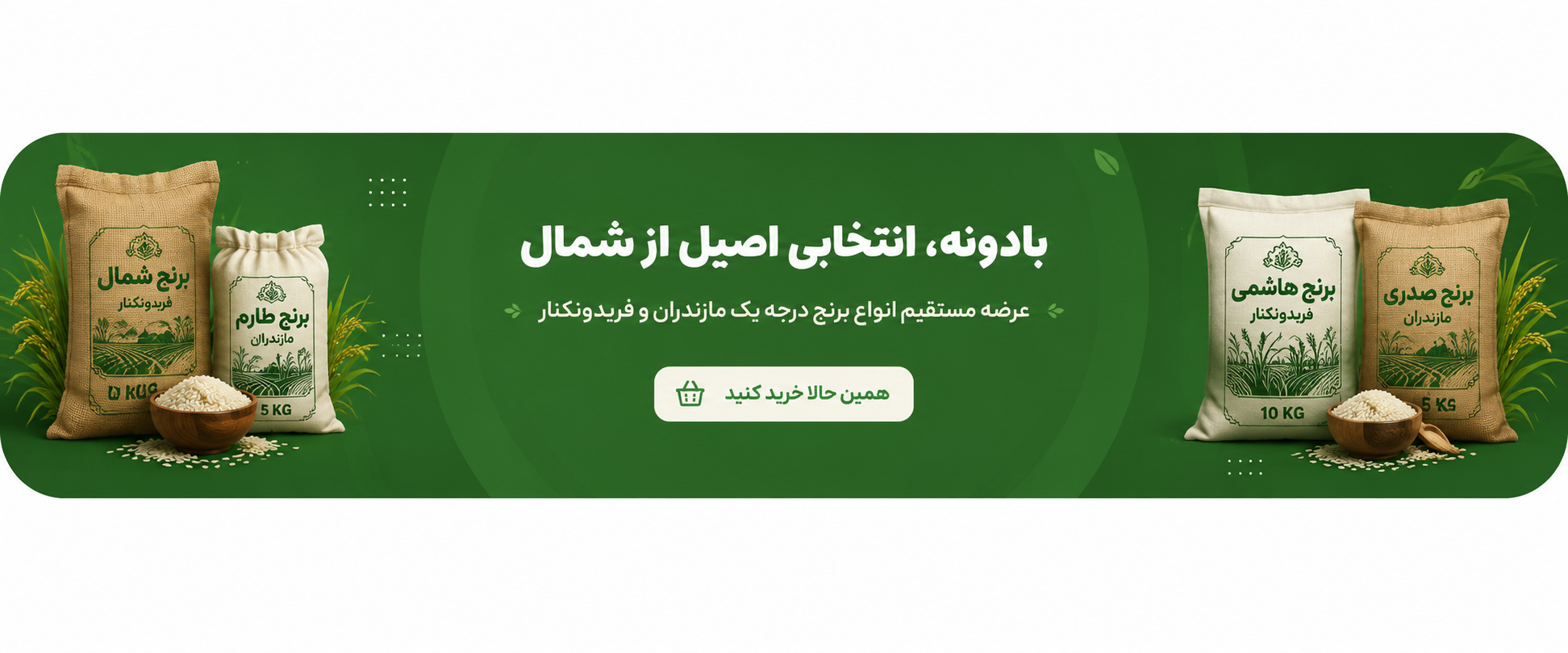 برنج شمال بادونه
