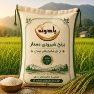 برنج شیرودی بادونه