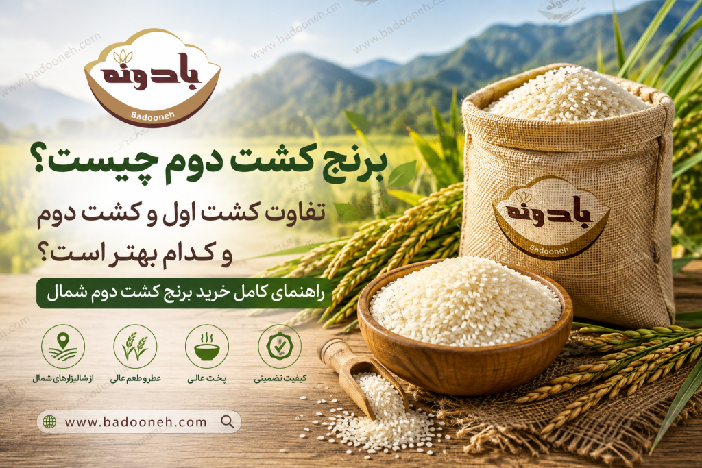 تفاوت برنج کشت اول با برنج کشت دوم