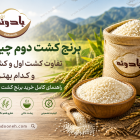 تفاوت برنج کشت اول با برنج کشت دوم