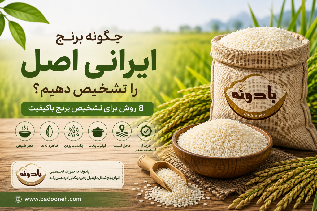 خرید برنج شمال