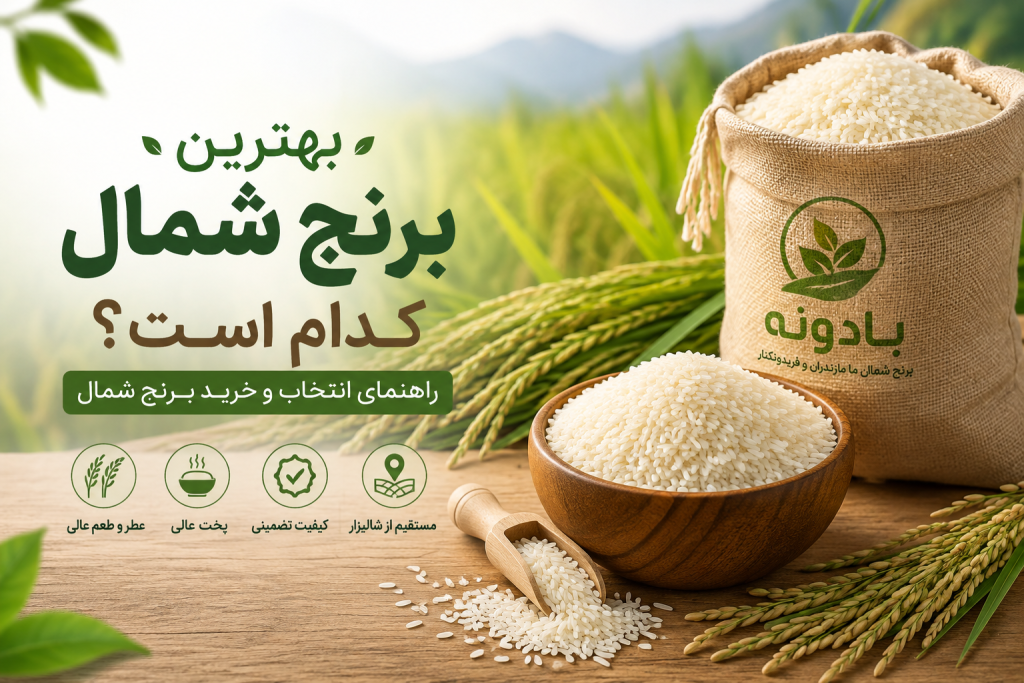 راهنمای خرید برنج شمال