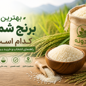 راهنمای خرید برنج شمال